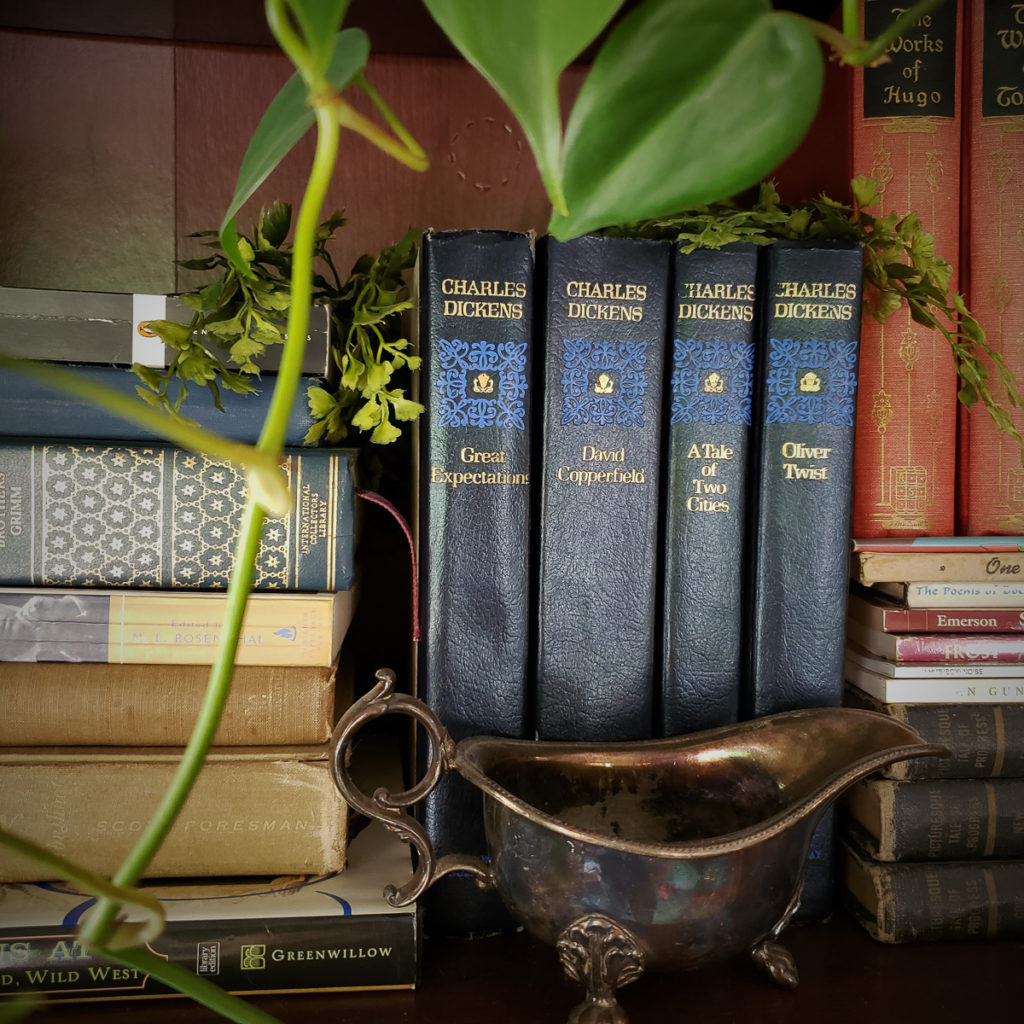 A bookshelf with several older-looking books stacked and arranged in different configurations, including four blue-bound books by Charles Dickens and two red-bound books by Victor Hugo. The leaves of several house plants drape around the books, and a silver gravy boat sits in front of the Dickens books.