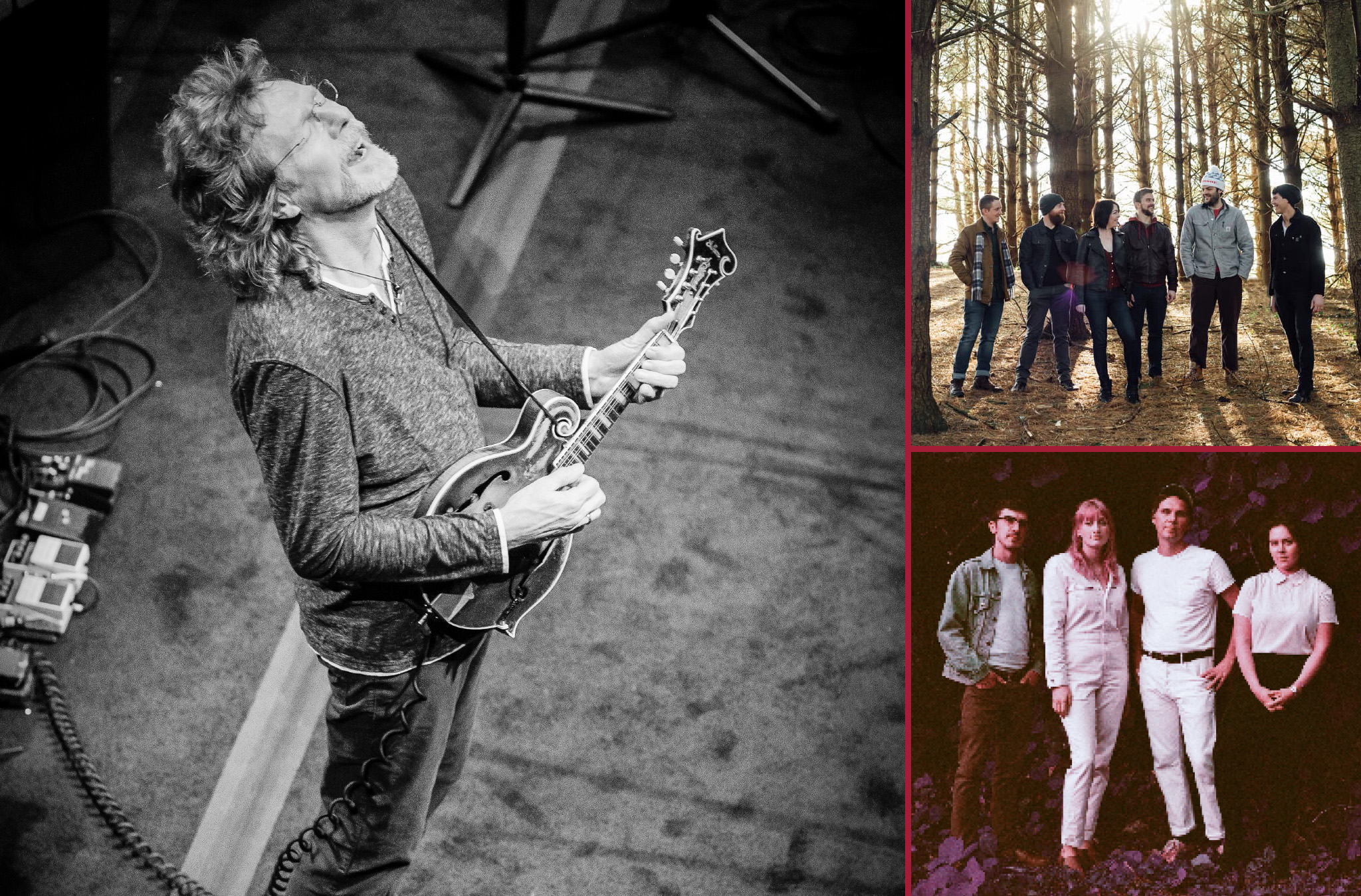 A photo collage featuring Sam Bush, and the bands Annabelle's Curse and Bill and the Belles.
